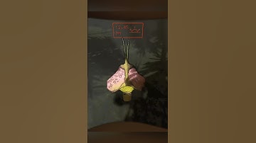 The dog in Lethal Company is NOT friendly!