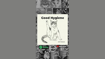 Good Hygiene [Official Music Video] - Dusty Douglas