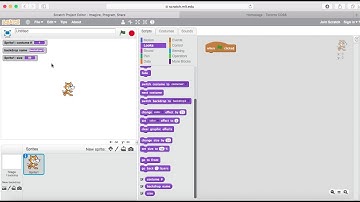 Costume Number & Backdrop Name & Size Scratch Looks Blocks Purple