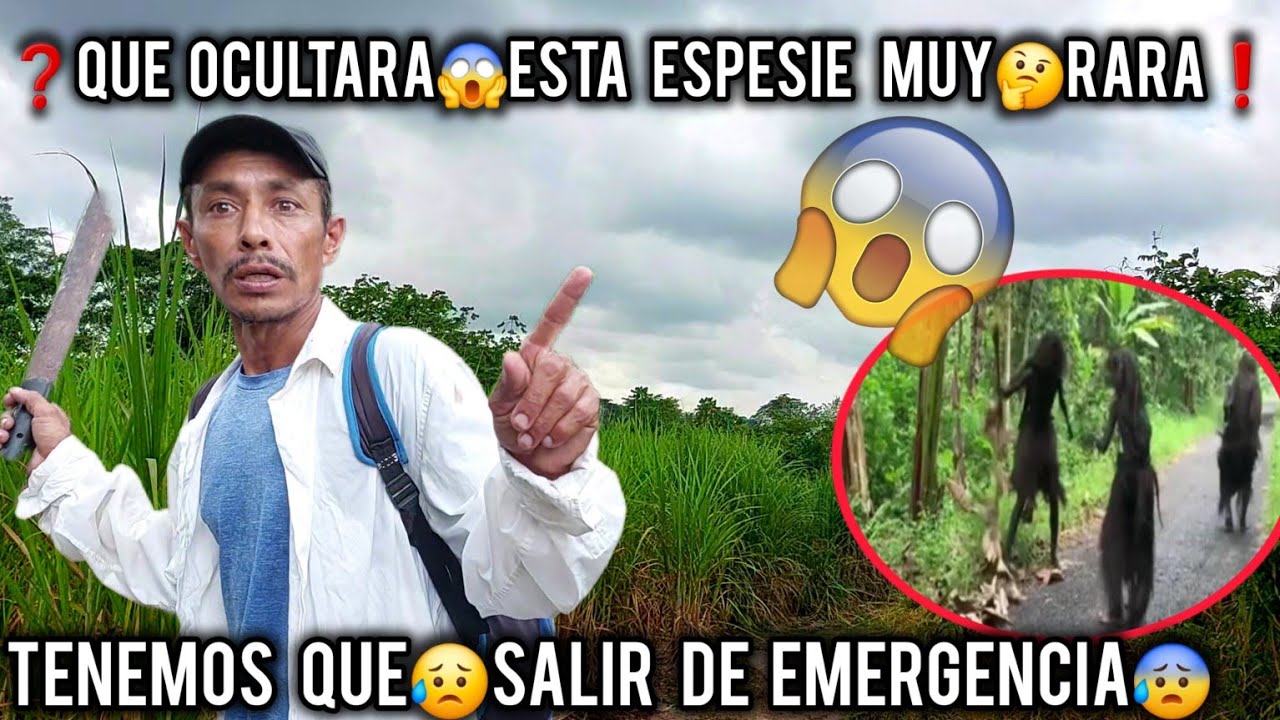 🤯Nos tienen acoralados estas personas extrañas y agresiba😰😱Que ...