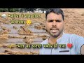 मेहनत का फल मिट्टी में मिल गया 😔 | धान का फ़सल बर्बाद हो गया 💔 बारिश से बर्बाद हुआ धान का फ़सल 🌾 |