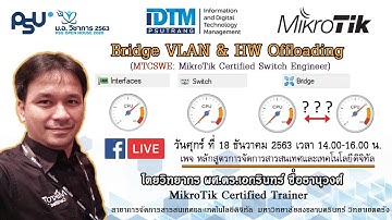 Bridge-based VLAN and Hardware Offloading (MikroTik)