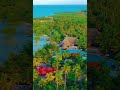 Zanzibar Island рџЏќ Tanzania One Of The Most Beautiful Islands Shorts Zanzibar Island Naturelada Zanzibar Island рџЏќ Tanzania One Of The Most Beautiful Islands Shorts Zanzibar Island Naturelada