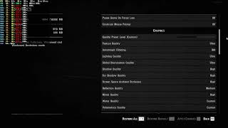 Red Dead Redemption 2 - Graphic Settings [1440p Best Graphics]