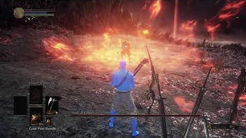 Soul of Cinder (Segmented) SL1 NG+7 [No Sprint/Roll/Block/Parry]