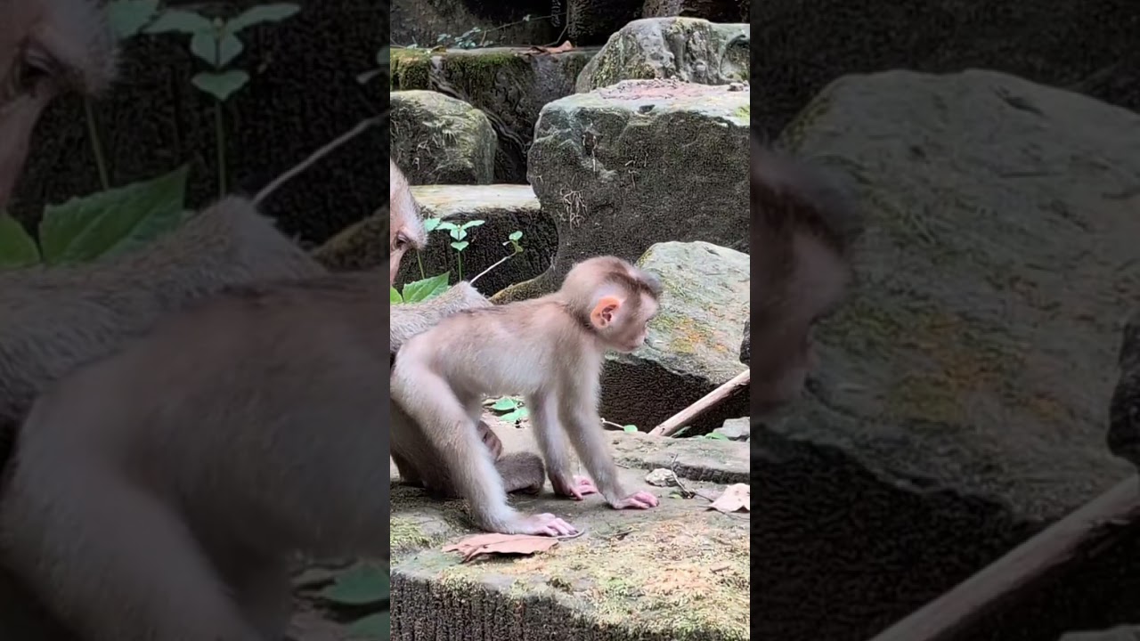 Where Love and Laughter Grow#14 