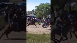 Horse Race Ride Pythian Games Legacy To Return