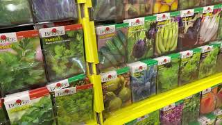 Home Depot Plant Inventory January 2023 Akron Ohio