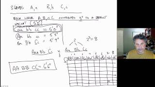 Cinelecture 73 - Mendelian genetics and continuous variation