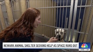 Newark, NJ animal shelter seeking help as space runs out | NBC New York