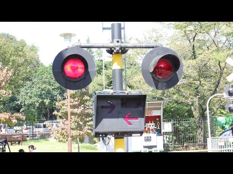 ⭐︎たぬきです⭐︎乗馬　HS 拍車　&amp;   短鞭 なして - Search / X