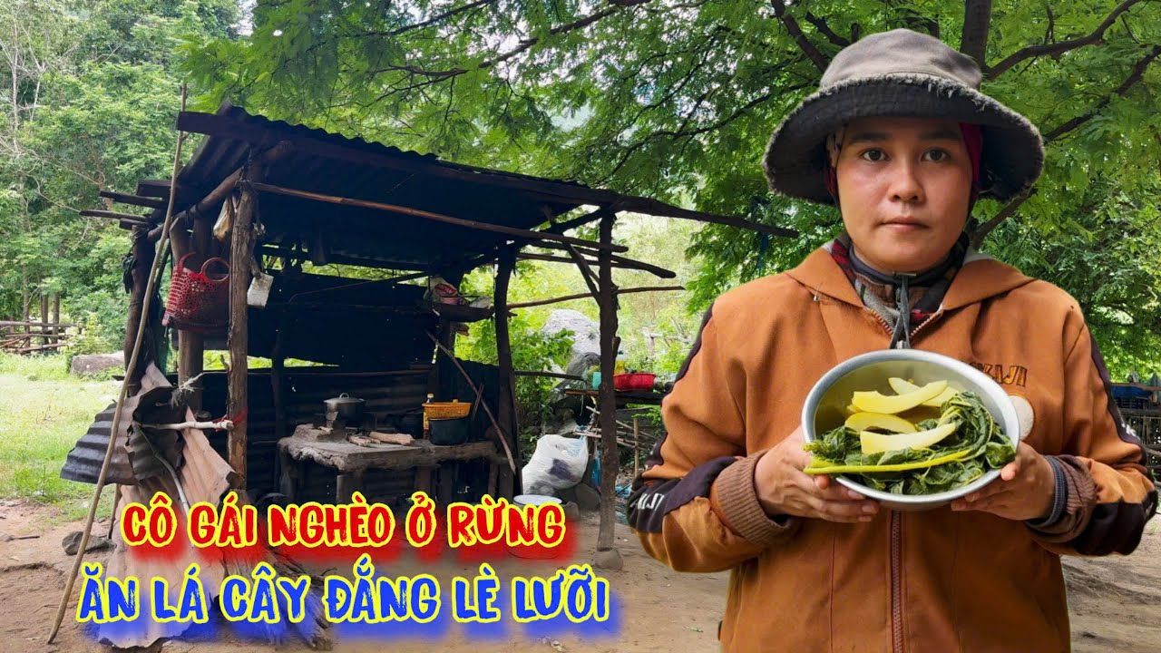 VƯỢT RỪNG lội suối, hỗ trợ giúp đỡ CÔ GÁI nghèo ở trong rừng - tập 1536