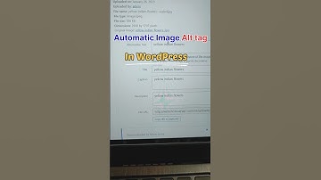 Automatic adding alt text to image in WordPress #shorts #wordpress #shortsfeed #short #youtubeshorts
