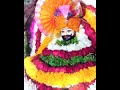 #श्री श्याम शरण में बीते सारी उमरिया #khatu#shyam#bhakti#bhajan