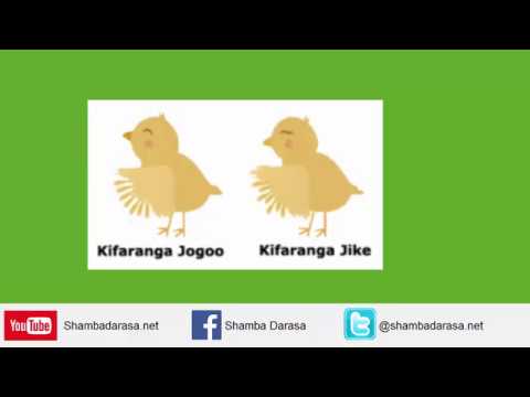 Video: Jinsi Ya Kuamua Jinsia Ya Kuku? Tabia Za Kuku