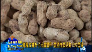 大揚週報20171124 1130無片頭