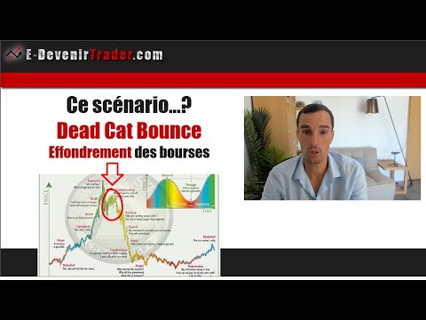 Le scénario du Dead Cat Bounce – Effondrement des bourses (mon avis)