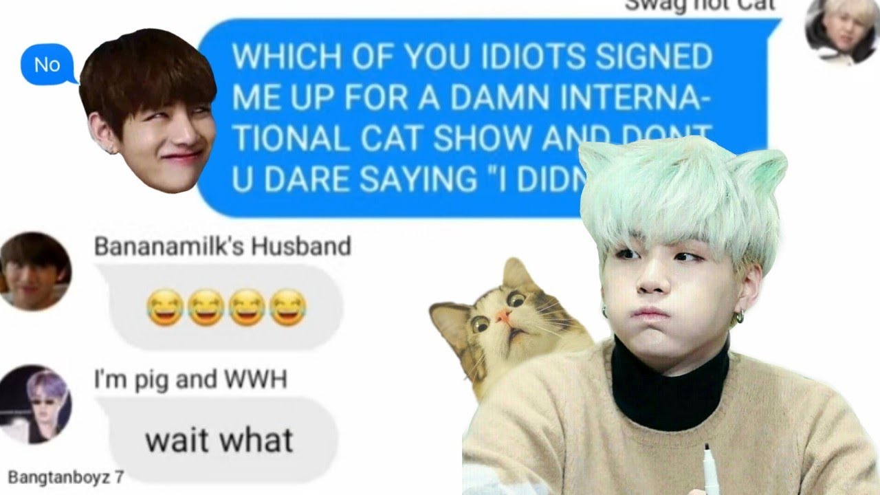 BTS Text - The one who signed Yoongi up on the Cat Show