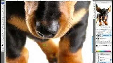 Photoshop CS3: Reflections & Text : Photoshop CS3 Reflections: Removing Noise