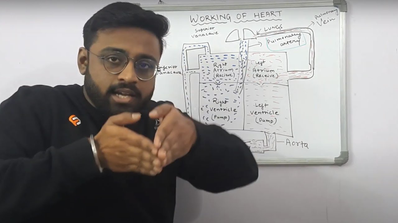 Working Of Heart Through Square Diagram YouTube Working of heart through square diagram youtube