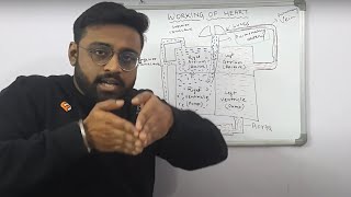 Working of heart through Square diagram