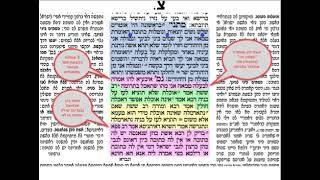 נדרים צא דף יומי מסכת נדרים דף צא Daf yomi Nefarim daf 91 סיום מסכת ‼️ שמואל נבון
