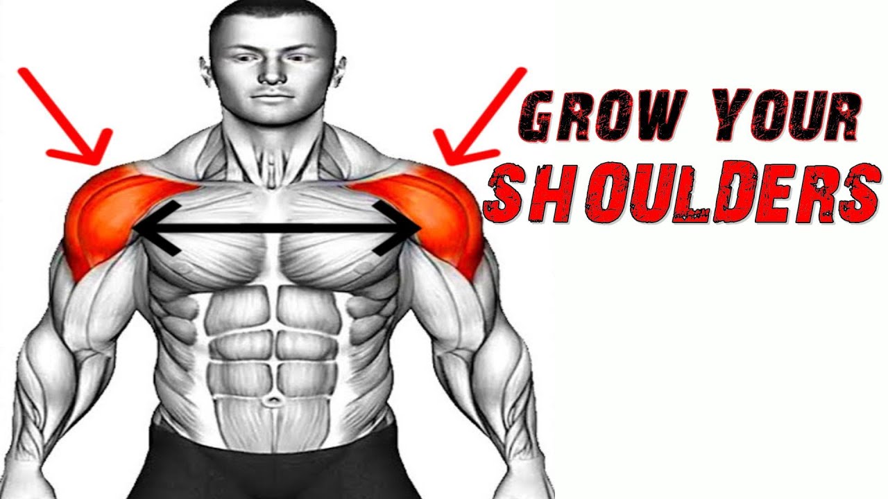 épaules plus grandes et plus larges | muscler tes épaules avec poids du ...