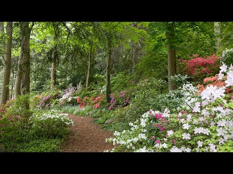 95 Old Roaring Brook Road, Mt Kisco, NY home video tour