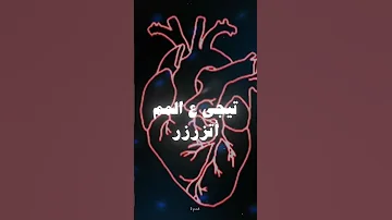 أنا و الكاش مروان بابلو ابيوسف راب راب مصري اغاني 