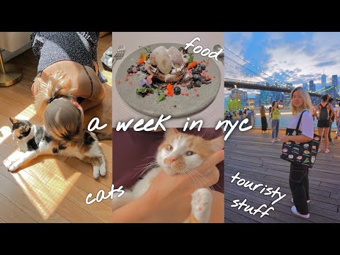a week in nyc | cats, food, & touristy stuff