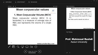 Mean Corpuscular Values MCV MCH MCHC