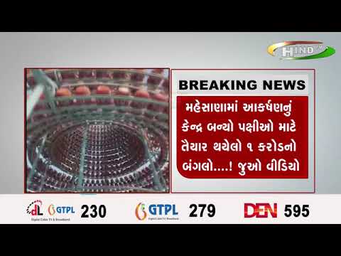 મહેસાણામાં આકર્ષણનું કેન્દ્ર બન્યો પક્ષીઓ માટે તૈયાર થયેલો ૧ કરોડનો બંગલો....! જુઓ વીડિયો