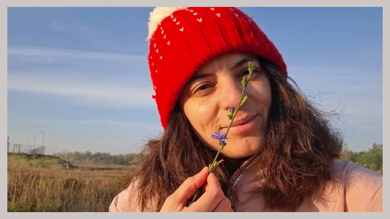 Cicoare 1, cautam izvoade