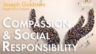 Joseph Goldstein on Compassion and Social Responsibility  Insight Hour Ep. 154