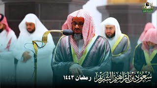 إصدار مميز للشيخ سعود الشريم - صلاتي التراويح والتهجد - جميع ليالي رمضان ١٤٤٣