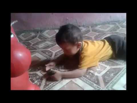 كعصفورة في كف طفل يزمها تذوق حياض الموت والطفل يلعب