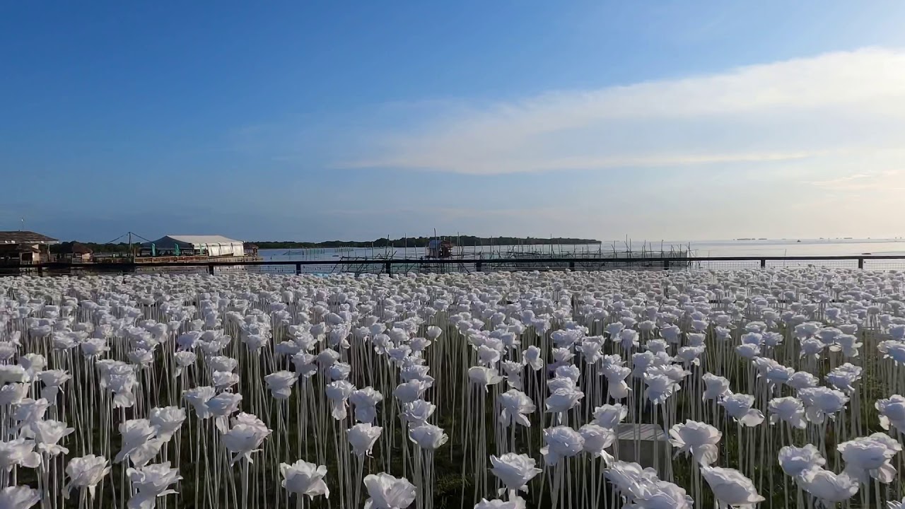 Ten Thousand Roses - YouTube