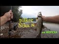 Pilker Nika S косит жереха 2019 на Днестре