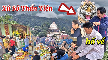 Bắt ngờ ông hổ nhập xác làm điều này tại Vồ Bồ Hông núi cấm