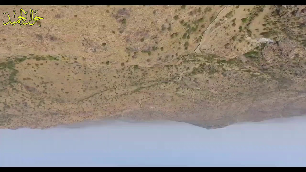 وثائقي حمى الفليق