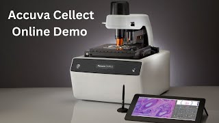 Online Accuva Demo  2024-06-05