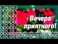 Добрый Вечер Хорошего Настроения! Пожелания Доброго Вечера! Красивое Пожелание с Добрым Вечером!