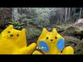 【MV】ジャングルプレミアム/ドルチャス