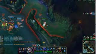 talon bug