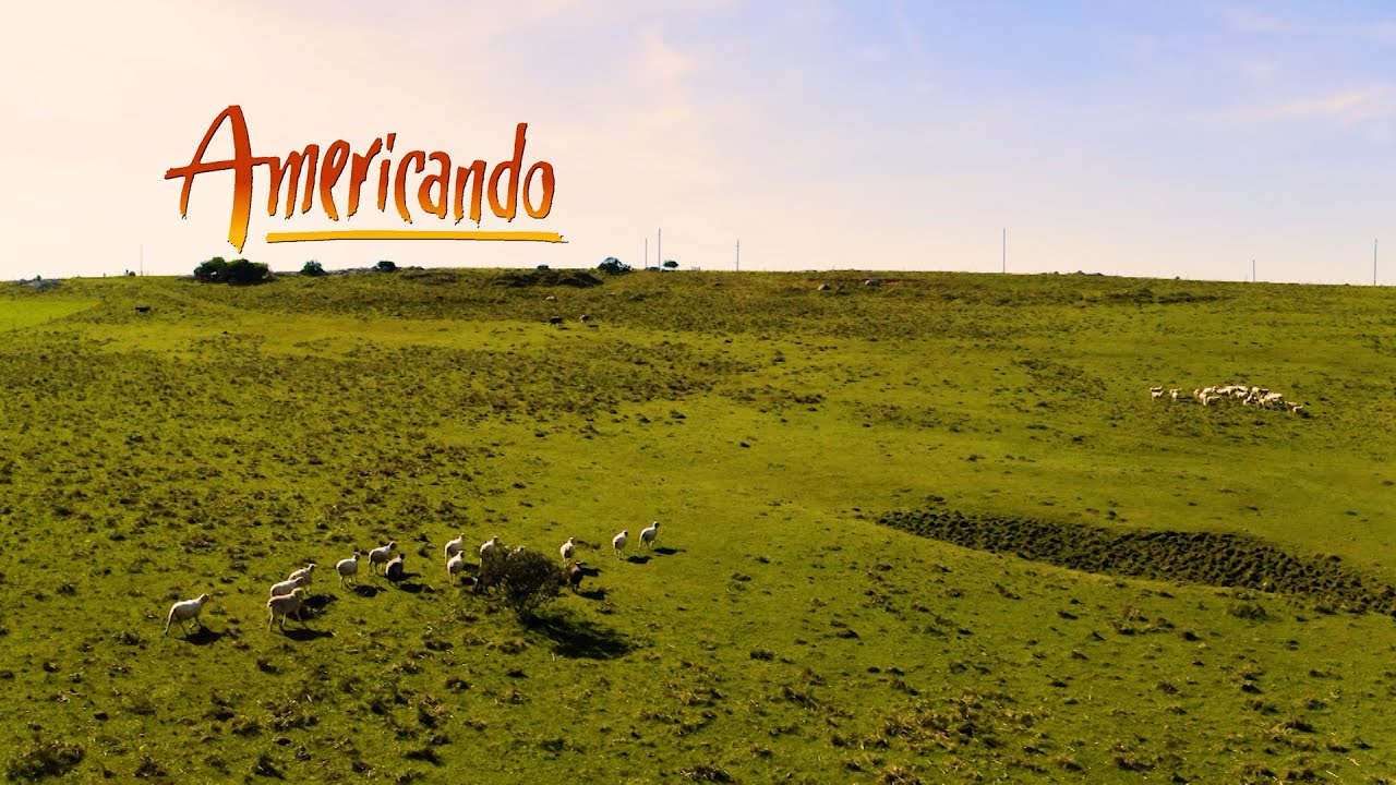 Americando | Programa completo (29/10/23)