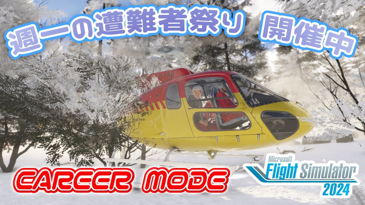 遭難者祭り   | FlightSimulator2024 |