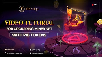 Guide To Upgrade Miner NFT On Pibridge Dapp