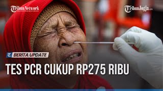 HARGA PCR TEST DI INDONESIA DAN DUNIA