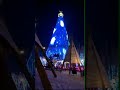 Christmas tree decorated by programmable led strip