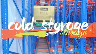 Cold Storage Shuttle Pallet Racking System in Kazakhstan.